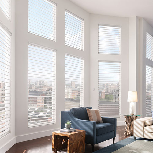 Blinds Banner Image