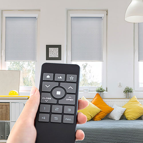 Motorization Banner Image