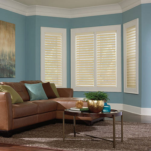 Shutters Banner Image